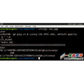 绕过PHP图片上传转换实现远程代码执行（RCE）危险