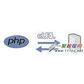 PHP CURL 执行 Authorization 请求的例子