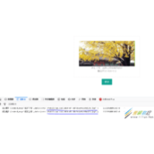 Thinkphp框架+Layui如何实现图片/文件上传功能