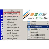 wamp开启rewrite_module重写功能启用.htaccess文件