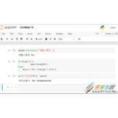 python计算寄送包裹重量代码实现过程