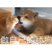 Python爬虫实现热门电影信息采集代码示例