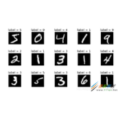 PyTorch的MNIST数据集实现代码示例