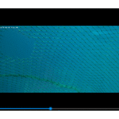 python+opencv实现视频抽帧代码示例