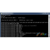 Python实现Telnet自动连接检测密码代码示例