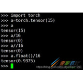 pytorch tensor int型除法出现的问题