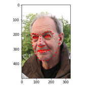 PyTorch数据读取实现代码示例