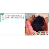 CSS浮动与清除浮动(overflow)例子