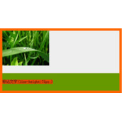 HTML中图文混合引发莫名空白问题研究