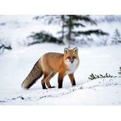 整理的2014年各大互联网公司前端HTML,CSS笔试题