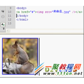 CSS去掉图片img边框及如何防止图片撑破DIV