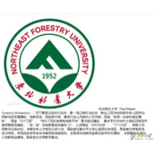 CSS浮动与取消浮动的问题代码示例
