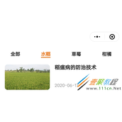 CSS实现导航固定与左右滑动的滚动条代码示例