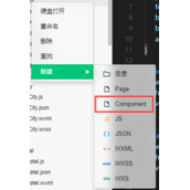 微信小程序自定义组件之可清除的input组件