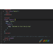 详解.vue文件解析的实现