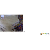 HTML里如何加载摄像头 HTML里加载摄像头方法