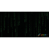 canvas如何实现黑客帝国数字雨效果 canvas实现黑客帝国数字雨效果代码示例