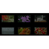 HTML5图片悬停放大如何实现 HTML5图片悬停放大实现代码