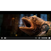 兼容HTML5视频音频播放器(支持跨浏览器)