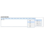 extjs 过多选项卡的菜单式展示代码
