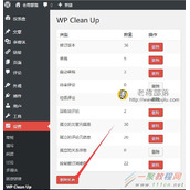 WordPress冗余文件优化插件:WP Clean Up和WP Cleaner