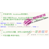 WordPress永久关闭主题和插件的自动更新方法