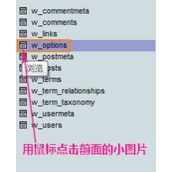wordpress更换域名后还在以前域名问题