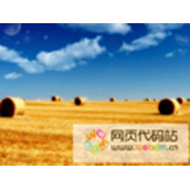 javascript 鼠标移上图片滑出文字提示代码