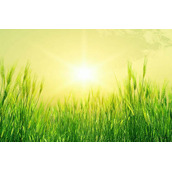 经典的仿切片滤镜的图片幻灯切换效果