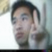 js+css 会员照片信息显示效果