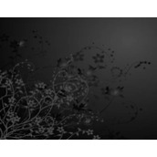 黑色风格的JS焦点图