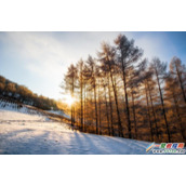 原生js的点击图片弹出预览效果(支持上一张下一张)