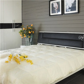 javascript淘宝网站图片放大镜效果