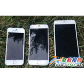 苹果6如何播放音乐?iphone6播放音乐方法教程