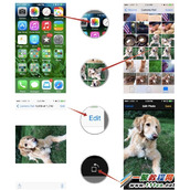 iphone5s如何旋转照片  苹果5s旋转照片设置教程