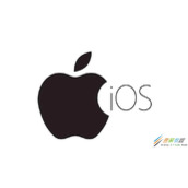 苹果偷跑流量查询方法