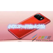 小米12Pro如何开启nfc 小米12Pro开启nfc方法