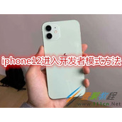 iphone12怎么进入开发者模式 iphone12进入开发者模式方法