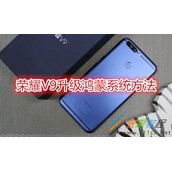 荣耀v9怎么升级鸿蒙系统 荣耀v9升级鸿蒙系统方法