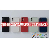 iphone12如何开启系统触感反馈 iphone12开启系统触感反馈方法