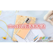 vivos12如何设置语言 vivos12设置语言方法