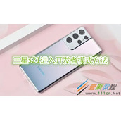 三星s21怎么进入开发者模式 三星s21进入开发者模式方法