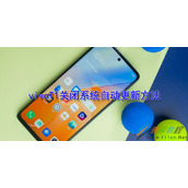 vivoT1如何关闭系统自动更新 vivoT1关闭系统自动更新方法