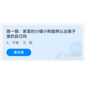 猜一猜家里的小猫小狗能辨认出镜子里的自己吗 2022支付宝蚂蚁庄园6月25日答案