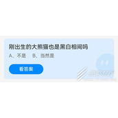 刚出生的大熊猫也是黑白相间吗 2022支付宝蚂蚁庄园6月16日答案