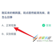 刚买来的鹌鹑蛋斑点居然能清洗掉是怎么回事 2022支付宝蚂蚁庄园4月18日答案