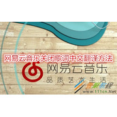 网易云音乐怎么关闭歌词中文翻译 网易云音乐关闭歌词中文翻译方法