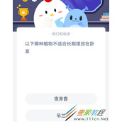 以下哪种植物不适合长期摆放在卧室 2022支付宝蚂蚁庄园3月23日答案