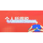 个人所得税如何查询工资明细 个人所得税查询工资明细方法