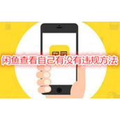 闲鱼如何查看自己有没有违规 闲鱼查看自己有没有违规方法
